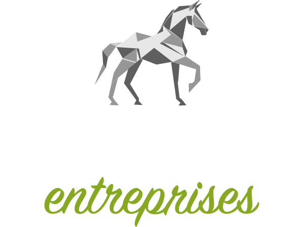 ÉQUICOACHING entreprises - Libérez votre potentiel !